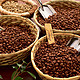 萌新要学会如何识别和选购好的咖啡豆