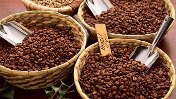 每天一杯好咖啡 篇一：萌新要学会如何识别和选购好的咖啡豆