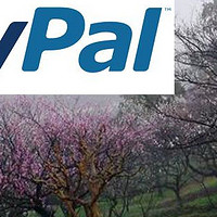 美版PAYPAL注册三两事