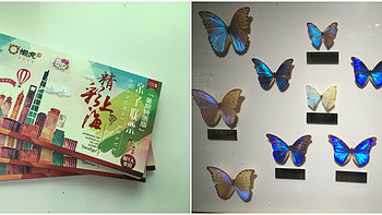 他们把那些冷门景点做成了一本册子，美其名曰亲子联票 篇三：周末的下午一带一，上海昆虫博物馆 