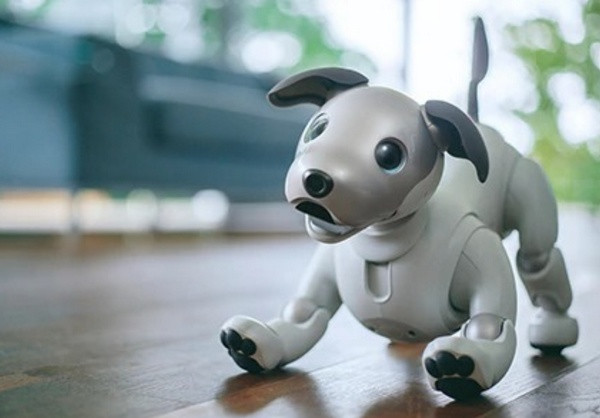 智能有情感：SONY 索尼 发布 新一代 Aibo“爱宝”机器狗