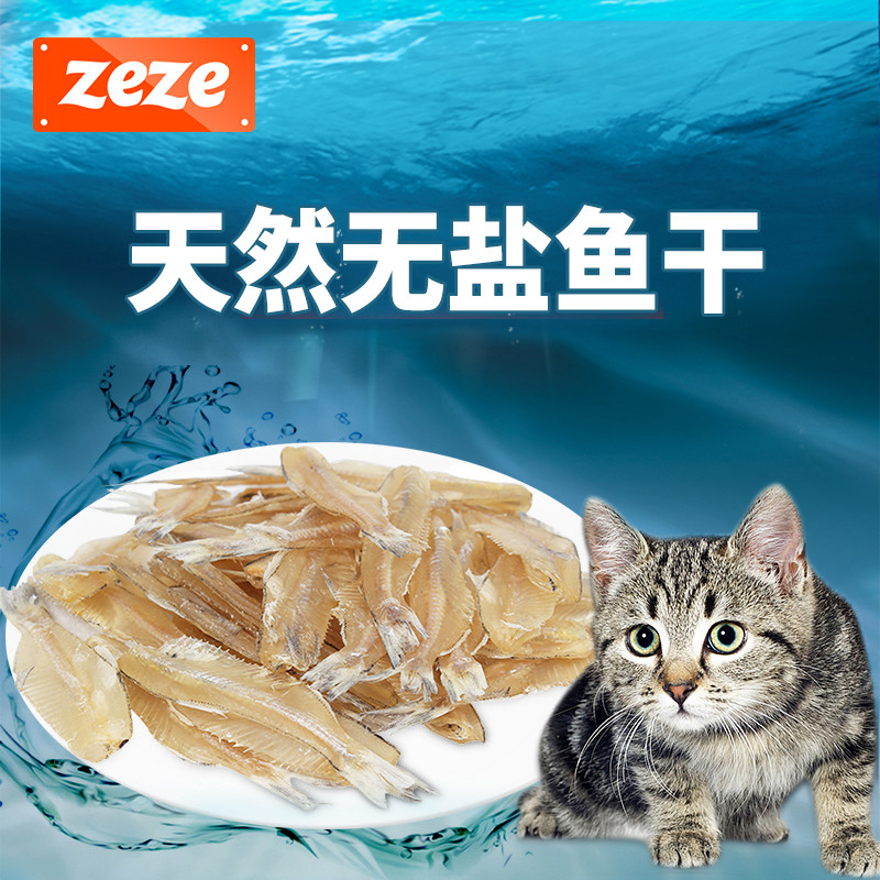 #原创新人# 我不是猫，你才是，愚蠢的人类