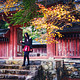  京都红叶狩—神护寺　