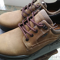 #原创新人# 美亚黑五ECCO 爱步 Men's Track 6 Gtx Plain Toe Hiking Shoe 开箱