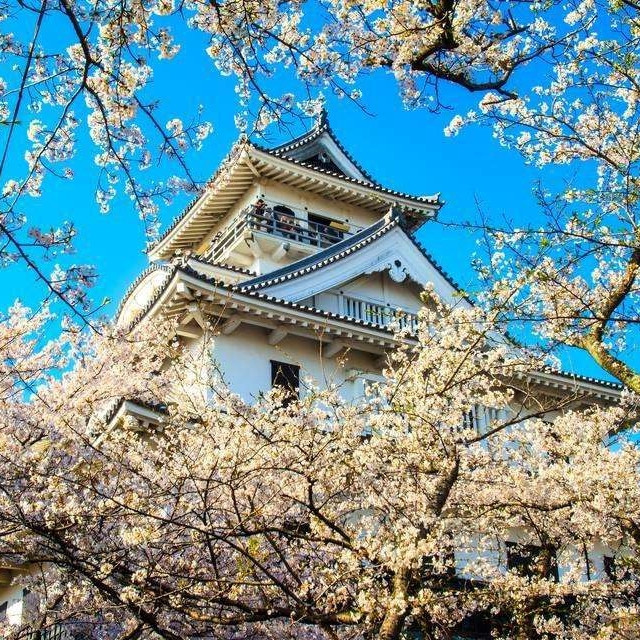 出行提示：日本2019年拟征观光税