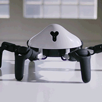 欢迎来到AI的世界：从树莓派，Arduino 到 HEXA | 了解机器人开发必看