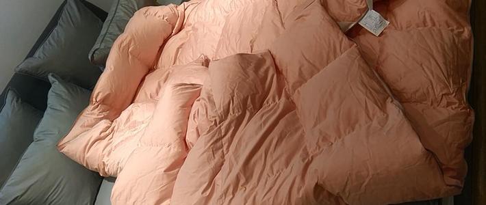 原创新人#怒拆羽绒被,体验飘雪感觉:niced奈士迪 90%白鹅绒 羽绒被