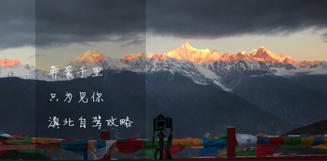 回忆我在张大妈的2018年， 买到的参加过的和分享过的