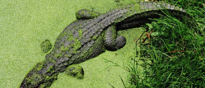 “欣然”换代升级：PENTAX 宾得 发布 K-1 Mark II 全画幅单反相机