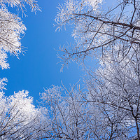 阿尔山冬季旅行摄影
