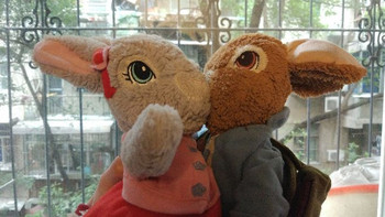 图书馆猿のGund牌 彼得兔&莉莉兔 毛绒玩具 开箱