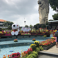 春节游记—新加坡普吉岛 篇四：DAY4 圣淘沙&SEA