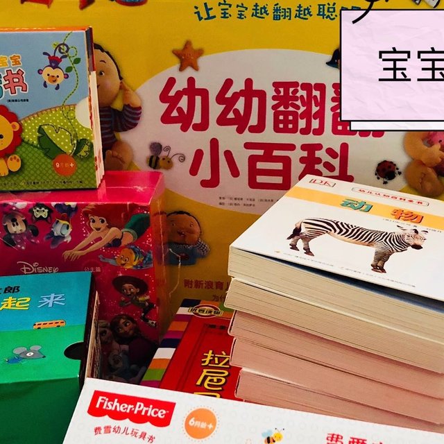 #剁主计划-宁波#宝宝的第一批书籍—是徒有其表的玩物，还是学以致用的宝典？