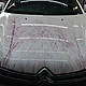 洗车和车漆保养 篇二：常见的漆面污染物及清除方法