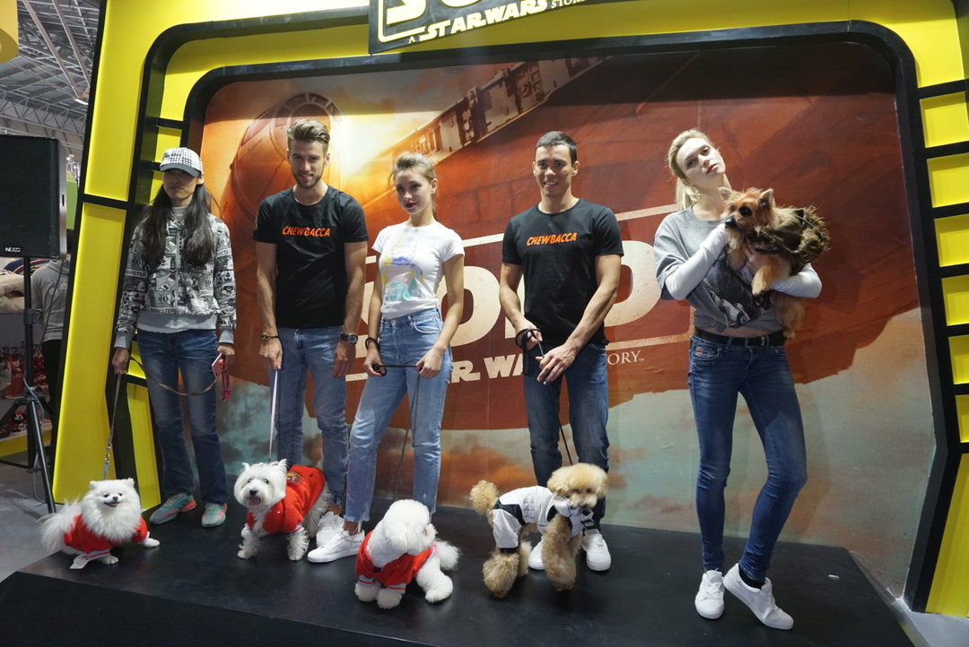 宠物乐园：2018上海国际宠物文化节