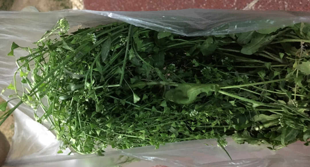 我在值得买写过的武汉——写在2020年春天