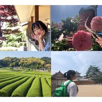 带着别人家的娃游日本！静冈、名古屋、东京、热海9日游