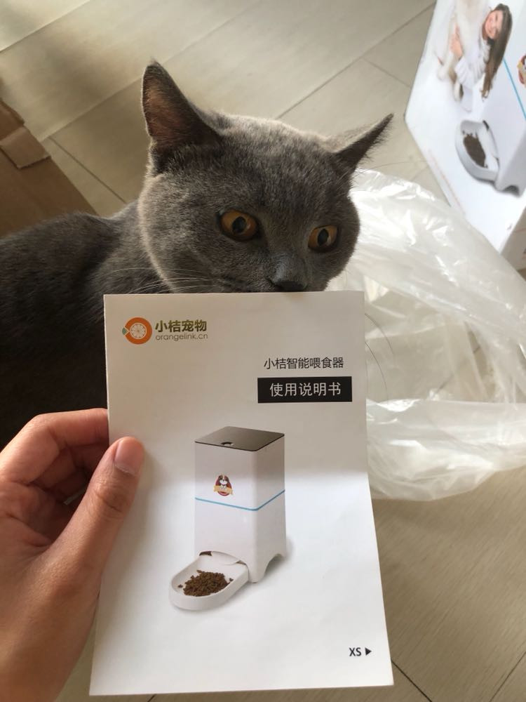 新手养猫指南——养猫一年我花了多少钱？看完我震惊了