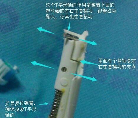 单向竖旋顺齿刷原理试分析（减速齿轮+陀螺仪或并联多头）