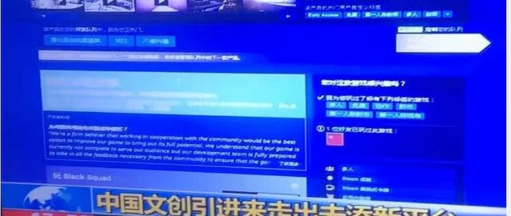 Steam这么 黄暴 的平台 竟然上央视了 这会是单机游戏的末日吗 软件应用 什么值得买