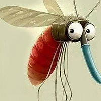 眼睁睁看着蚊子从灭蚊灯前飞过，是什么样的体验？