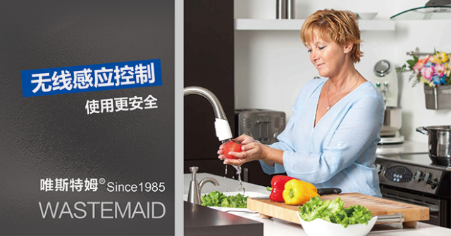 Wastemaid 唯斯特姆 T-800食物垃圾处理器