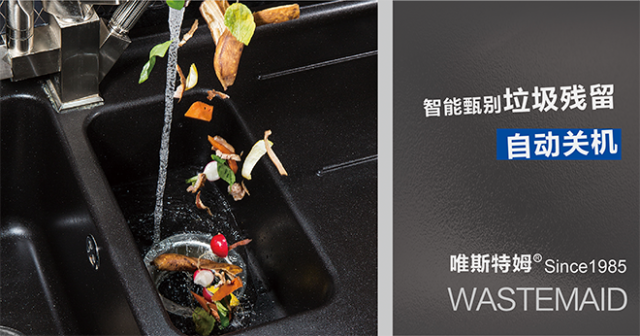 Wastemaid 唯斯特姆 T-800食物垃圾处理器