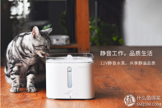 放开那只猫，让我来！ 人不如猫系列推荐