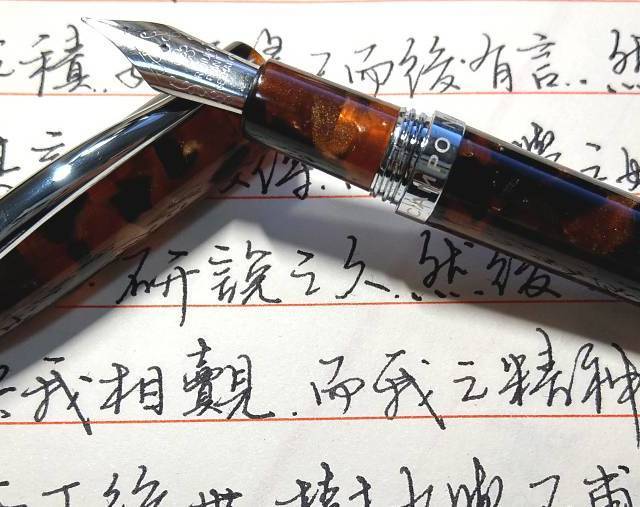 好一个姹紫嫣红—Campo Marzio 赛璐璐 钢笔简评