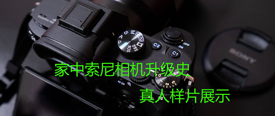 索尼FE85mmF1.8？适马FE50mmF1.4？搭配索尼A7M3机身，真人试拍告诉你哪款镜头更适合