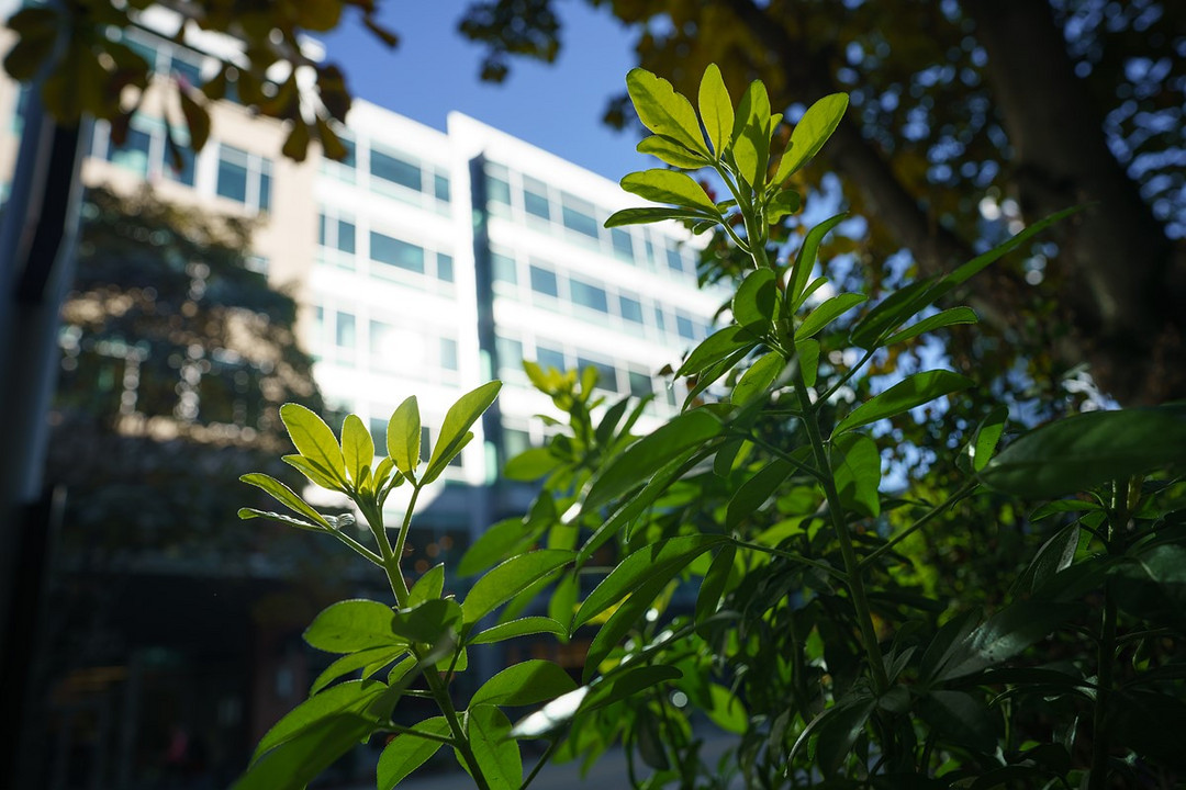 同级别重量无敌手，SONY 索尼正式发布FE 24mm F1.4 G大师镜头