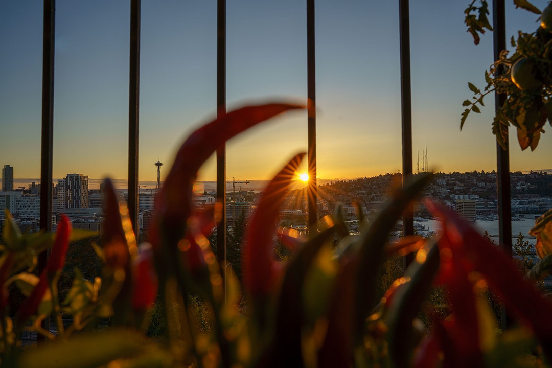 同级别重量无敌手，SONY 索尼正式发布FE 24mm F1.4 G大师镜头