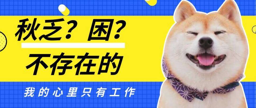 这4件好物让我工作有动力！不喝脉动，一样状态满格！