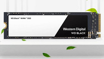 西部数据 Black 3D NVMe M.2 2280 固态硬盘购买理由(性价比|跑分|质保)