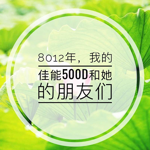 8012年，我的佳能500D和他的朋友们（真人兽，多图杀猫）