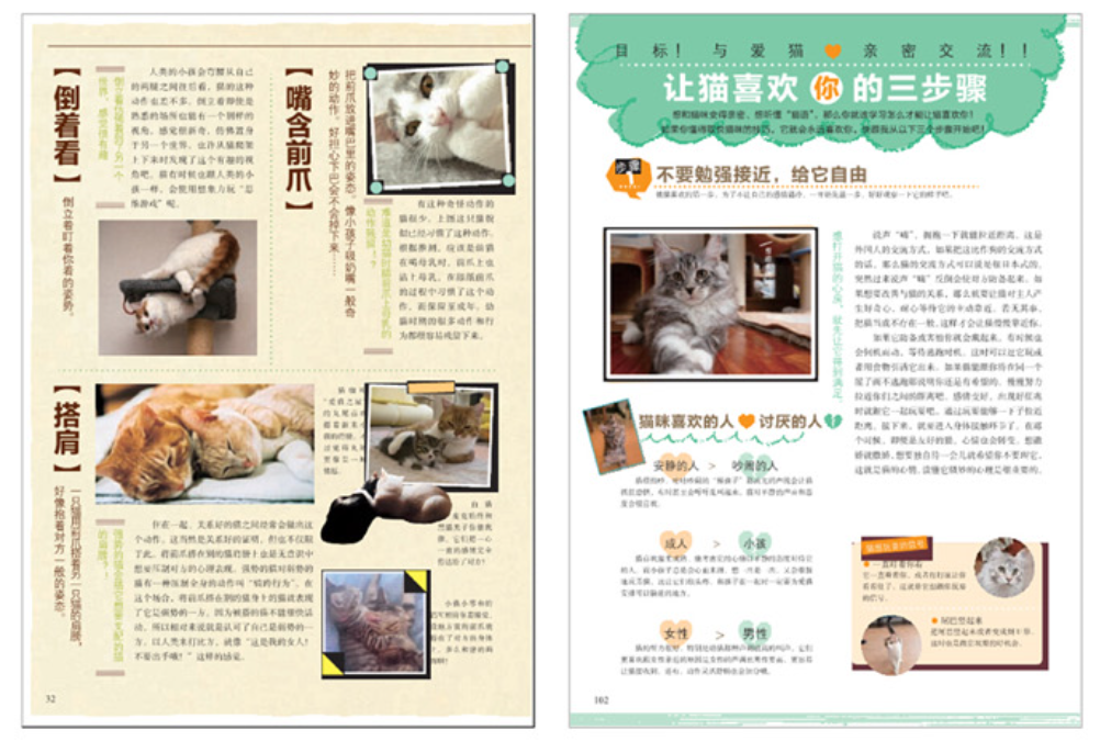 伺候主子的自我修养：7本猫书让你做个合格的铲屎官