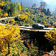 这儿的秋景神似喀纳斯，就在苏、杭、沪边上，最美公路串起N个超赞景点！