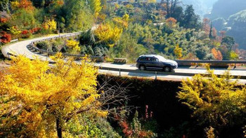 每日一景点 篇一百零八：这儿的秋景神似喀纳斯，就在苏、杭、沪边上，最美公路串起N个超赞景点！ 