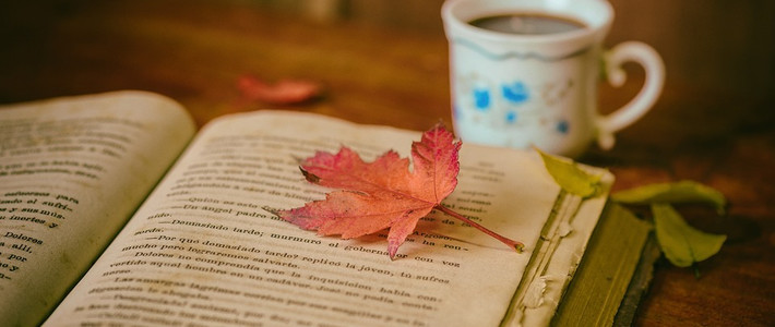  大洋彼岸的书友们在读什么？外国当代文学新书双11必买榜