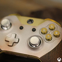 微软 Xbox 公布《荒野大镖客：救赎2》 限定木质款手柄，仅限参与活动获得