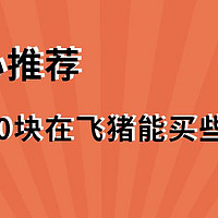 剁手清单 篇一：双11飞猪剁手，100块能买些啥，我们帮你整理好了