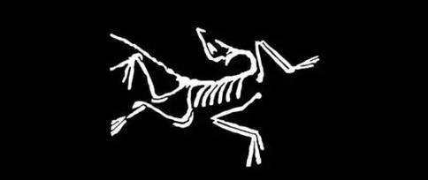 东北防冻指南，Arcteryx始祖鸟Kappa棉服小晒