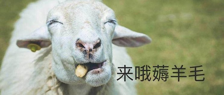 #我的双11故事#双十一我是如何薅羊毛的_支付_什么值得买