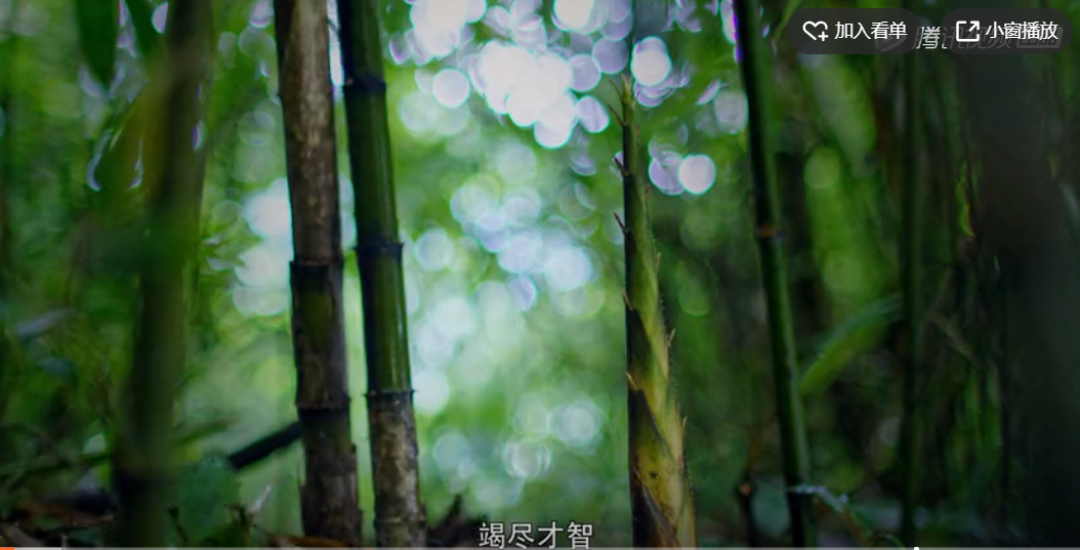 【值日声】《风味人间》这部舔屏级神作深夜来袭,片中的绝世美食你吃过多少?