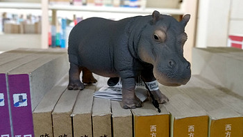 图书馆猿のSchleich 思乐 几只小动物简单开箱