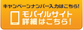 重返宝可梦：伊布纪念日、宝可梦电子宠物亮相！