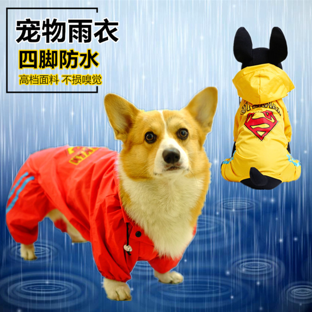 双十一晒单第三辑:晒狗和狗子用品