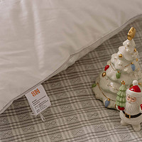 心水好物 篇一：圣诞节要换五星级酒店睡感的8H鹅绒枕