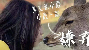 日本游记 篇六：这里的小鹿萌萌哒~奈良~拍照好看的景点推荐 