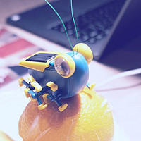 在家也可STEAM 篇一：Pro'sKit 宝工 太阳能动力大眼虫拼装玩具